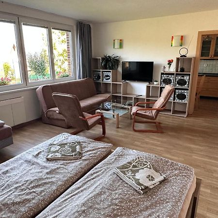 Apartmany U Rybnika Český Krumlov Extérieur photo